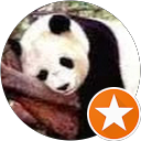 R M profile picture